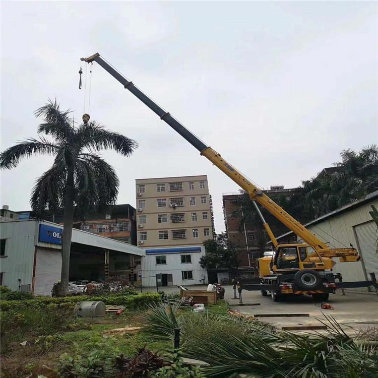 容县吊车吊大树几种方法